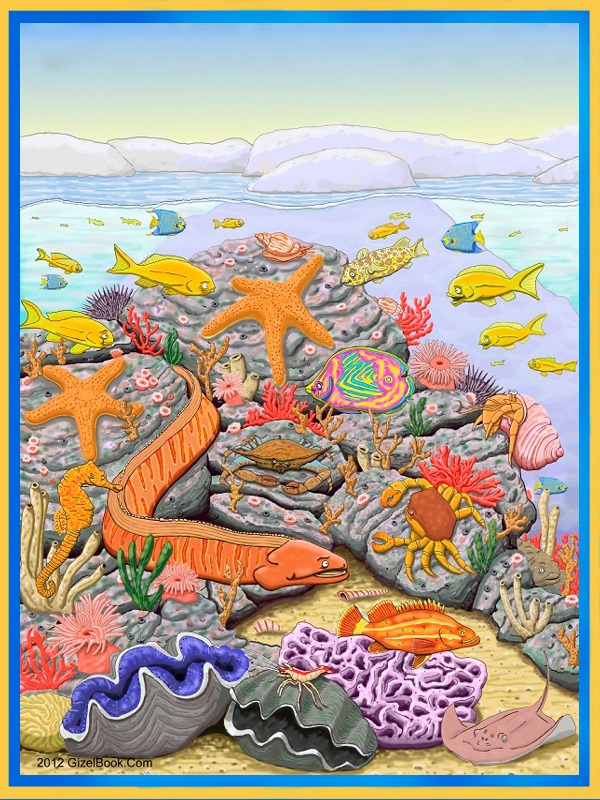 Framed Art.TidePool.600X800